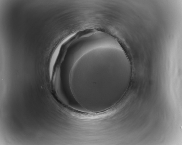 X0000088690019200705311205
