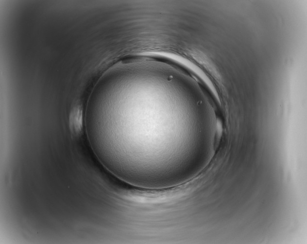 X0000088690021200705311205
