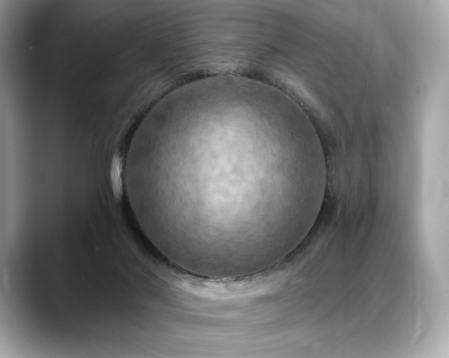 X0000088690022200705311205