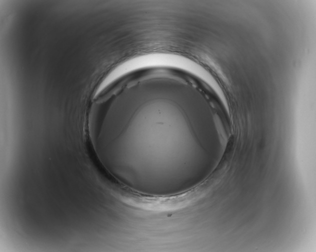 X0000088690023200705311205