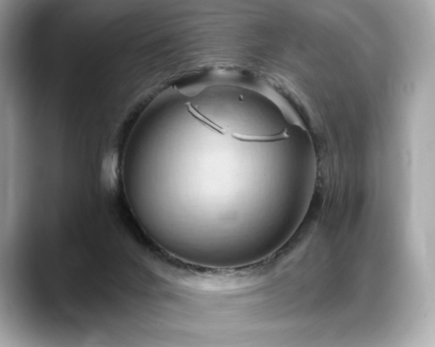 X0000088690024200705311205