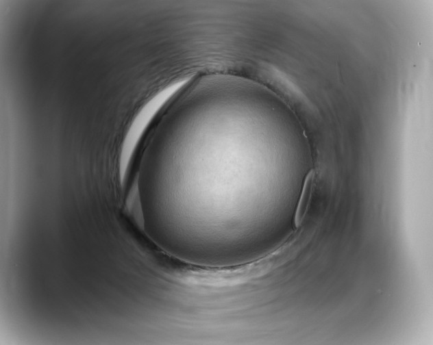 X0000088690025200705311205