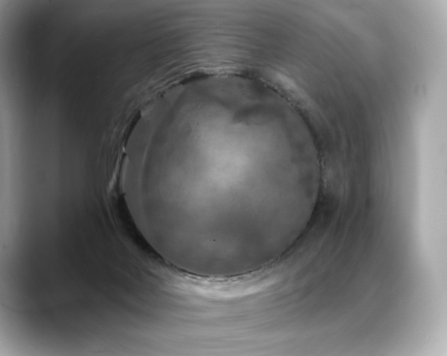 X0000088690026200705311205
