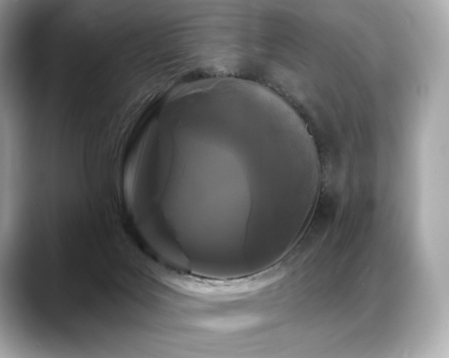 X0000088690027200705311204