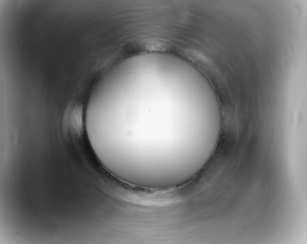 X0000088690028200705311204