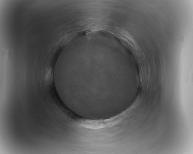 X0000088690029200705311204