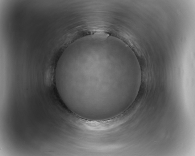 X0000088690030200705311204