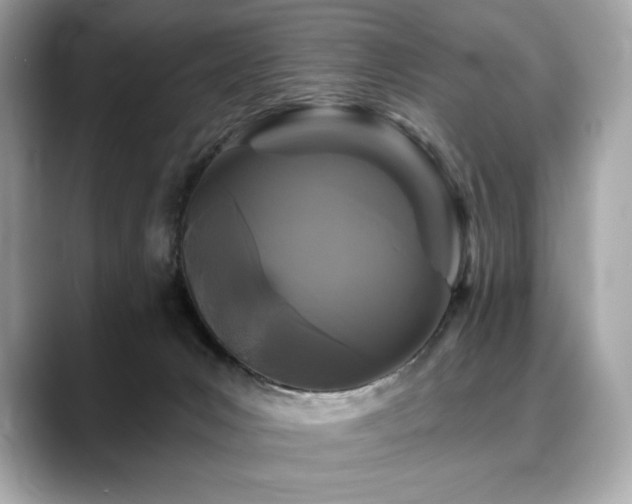 X0000088690031200705311204
