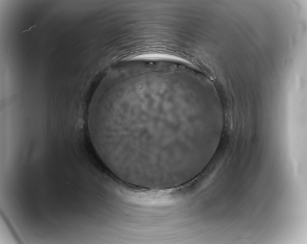 X0000088690032200705311204
