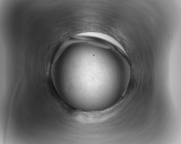 X0000088690033200705311204