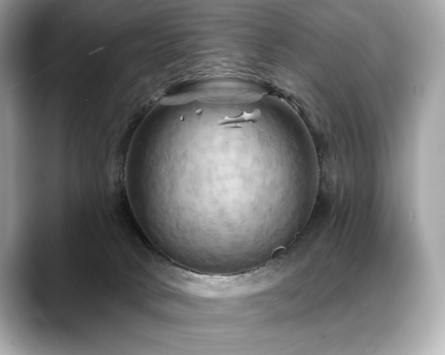 X0000088690034200705311204
