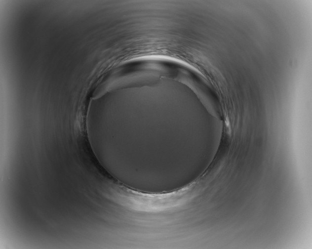 X0000088690035200705311204