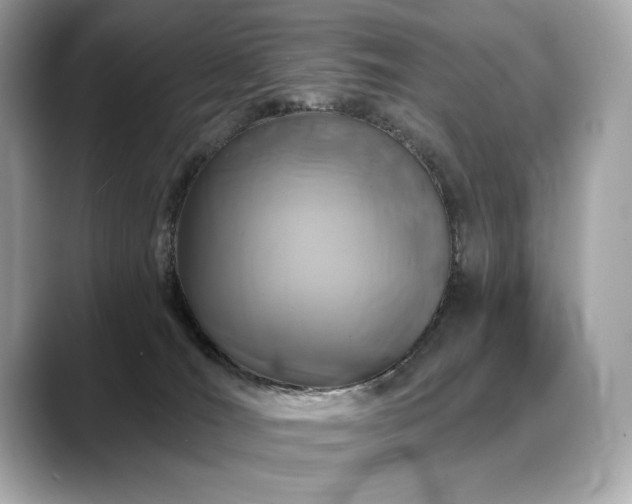 X0000088690036200705311204