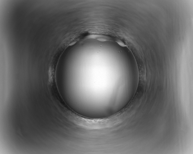 X0000088690038200705311204