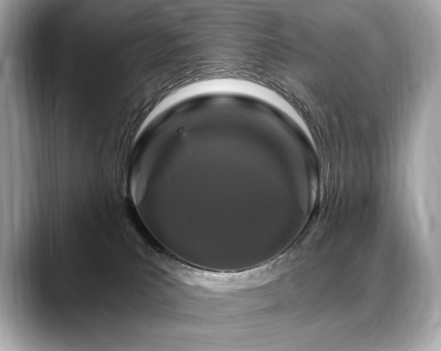 X0000088690039200705311204
