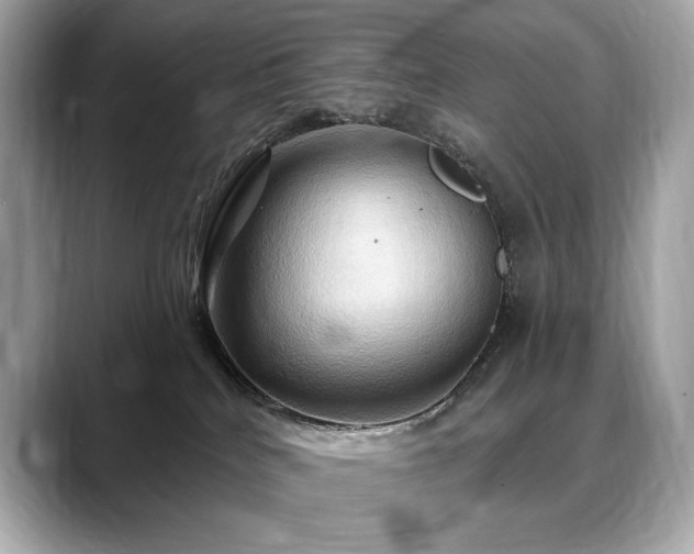 X0000088690040200705311204