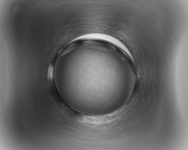 X0000088690041200705311204