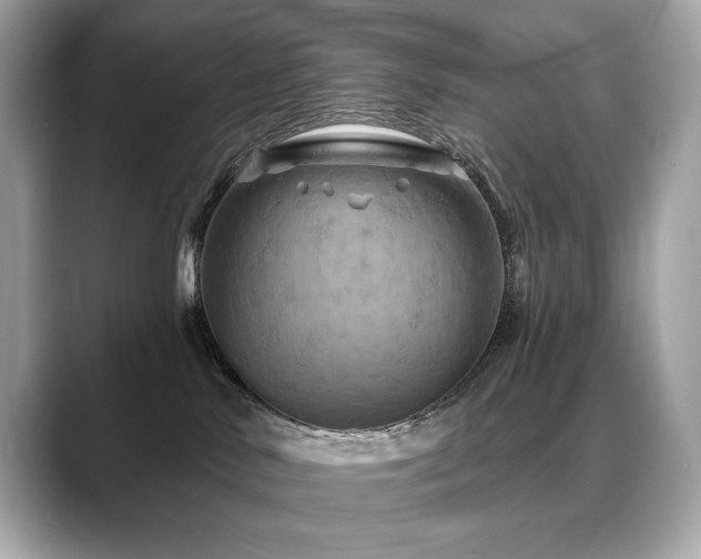 X0000088690042200705311204
