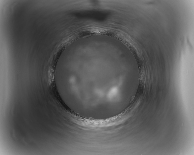 X0000088690043200705311204