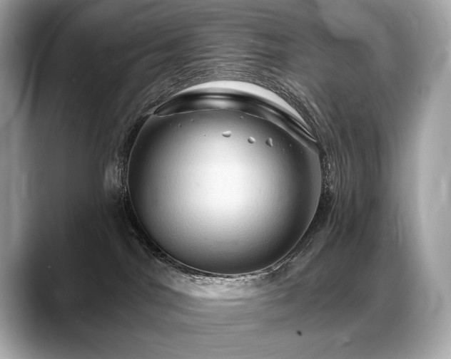 X0000088690044200705311204