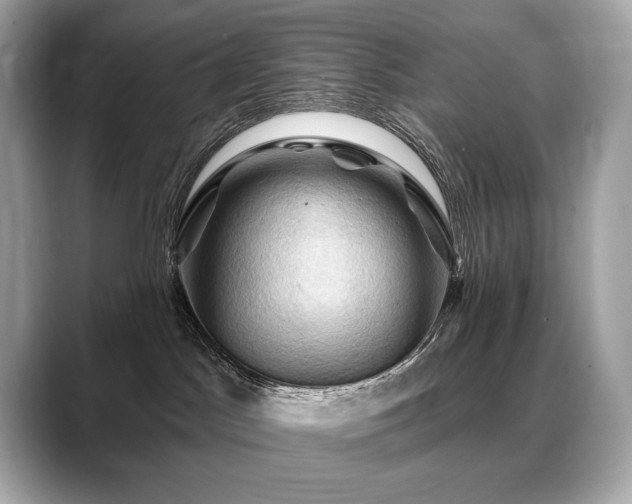 X0000088690045200705311204