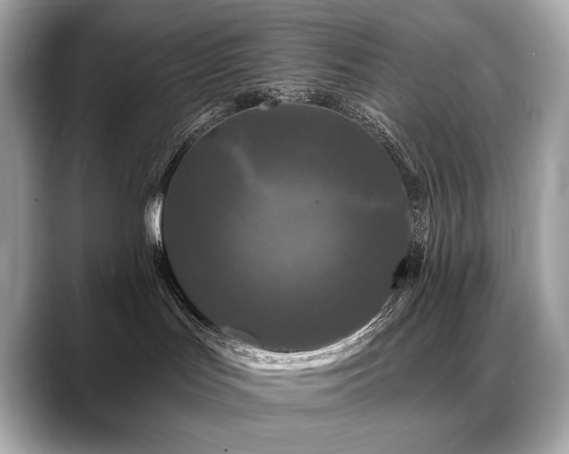 X0000088690047200705311204