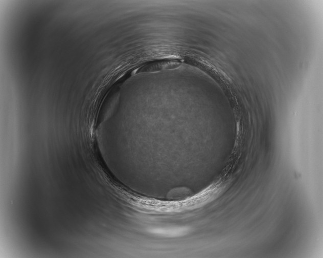 X0000088690048200705311204