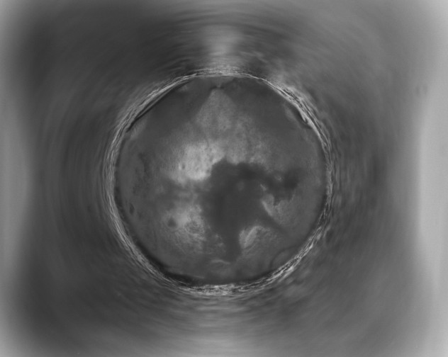X0000088690049200705311204