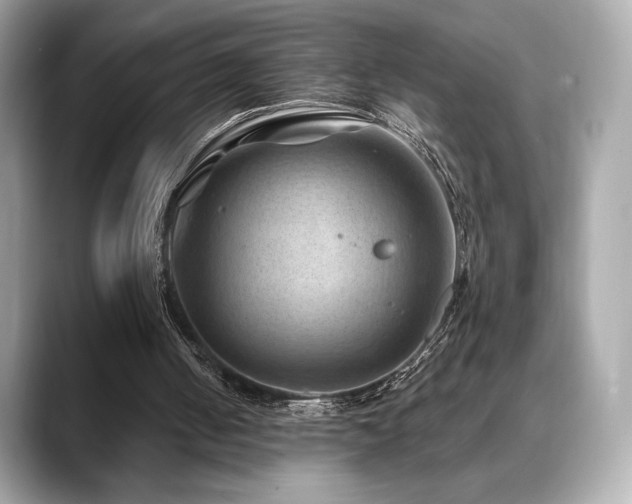 X0000088690050200705311204
