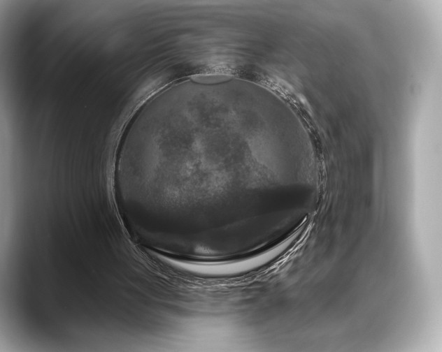 X0000088690051200705311204
