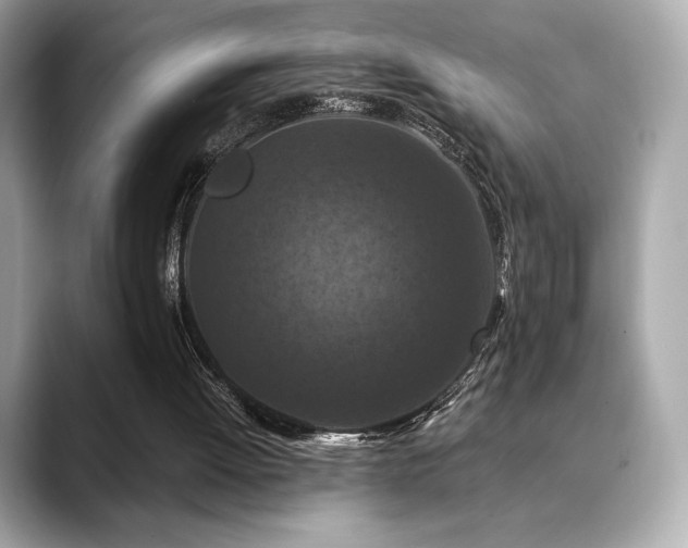 X0000088690052200705311204
