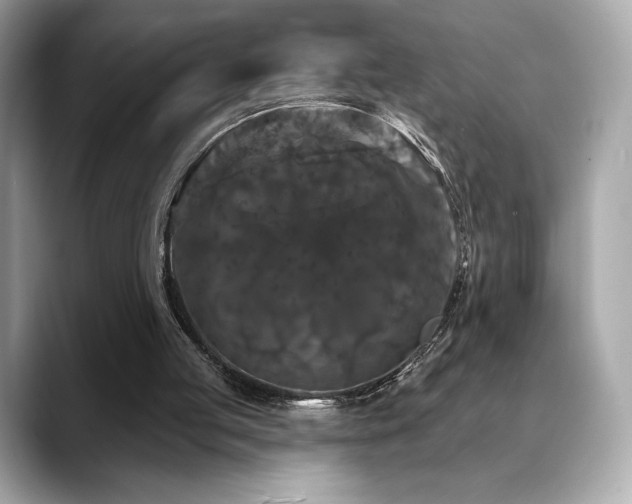 X0000088690053200705311204