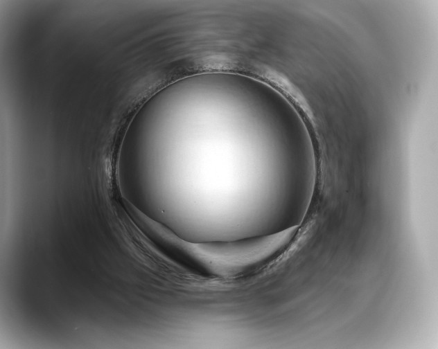 X0000088690057200705311204