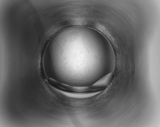 X0000088690058200705311204