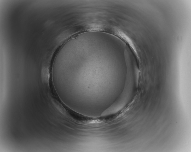 X0000088690059200705311204
