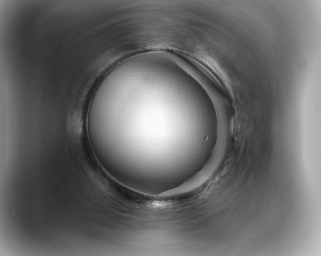 X0000088690060200705311204