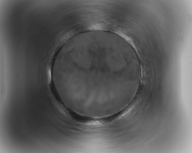 X0000088690061200705311204