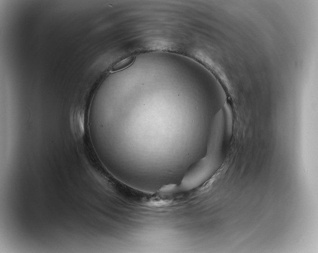 X0000088690062200705311204