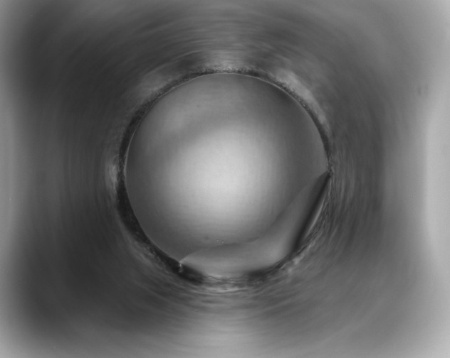 X0000088690063200705311204