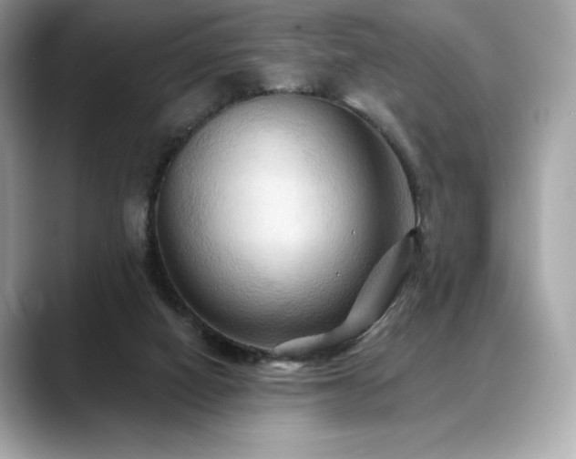 X0000088690066200705311204