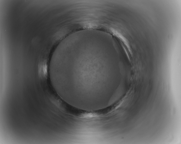 X0000088690067200705311204