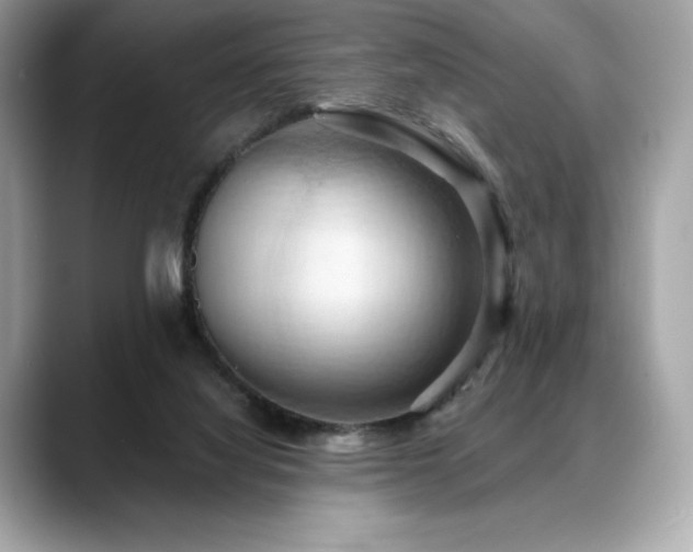 X0000088690068200705311204