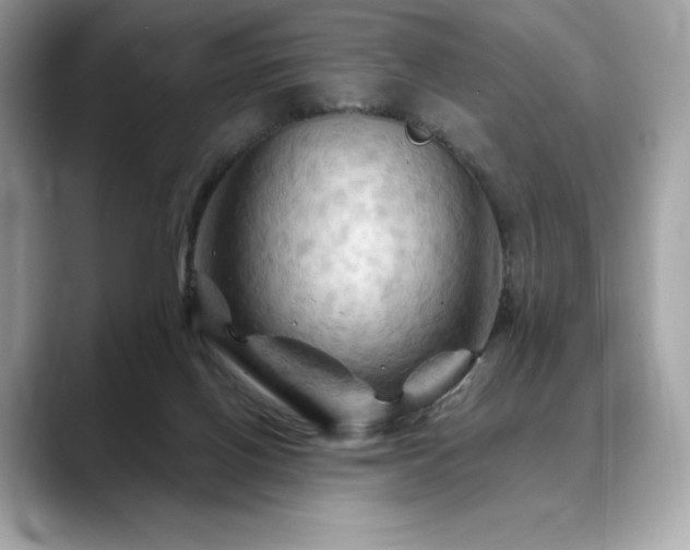 X0000088690070200705311204