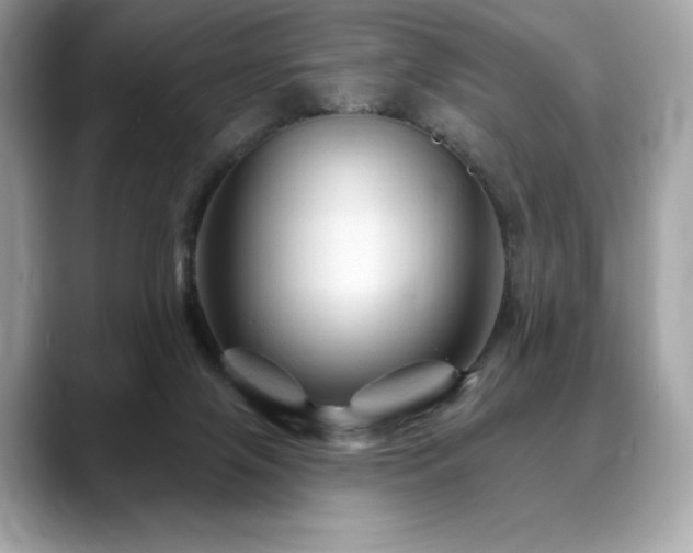 X0000088690071200705311204