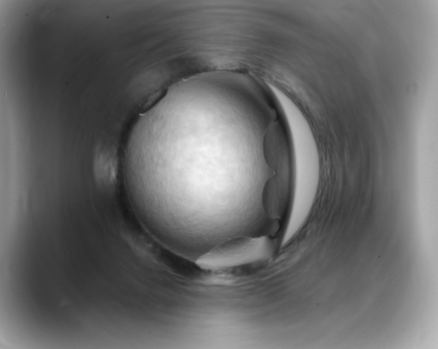 X0000088690072200705311204