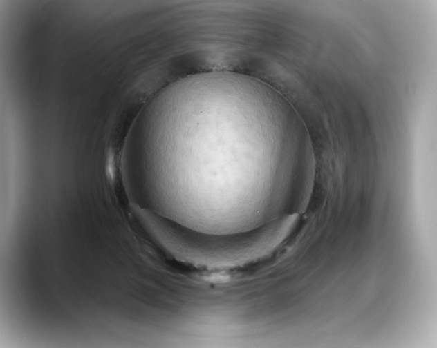 X0000088690075200705311204