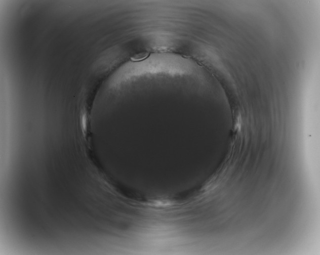 X0000088690076200705311204