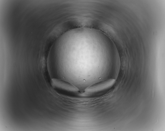X0000088690077200705311204