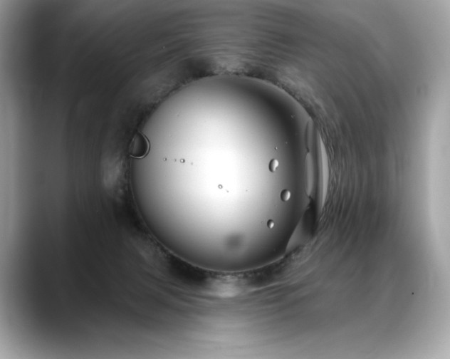 X0000088690079200705311204