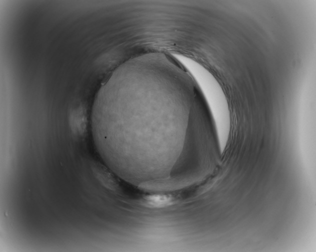 X0000088690080200705311204